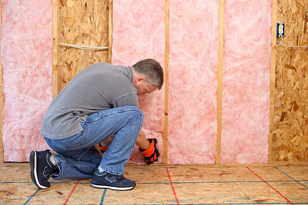 Best Insulation Materials and Products in Cottonwood Heights, UT